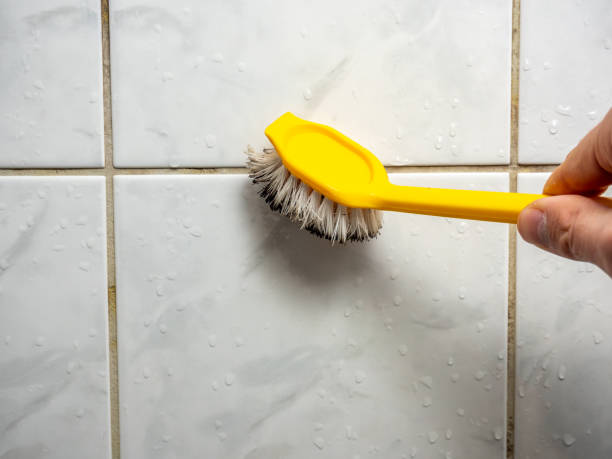 Best Mold Damage Repair  in Upland, CA
