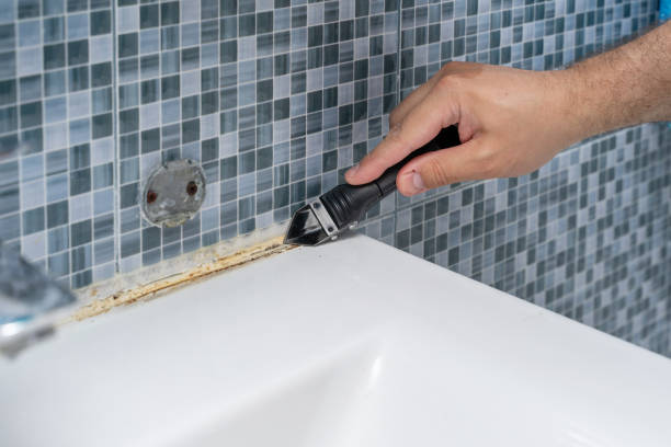 Mold Removal and Inspection in Upland, CA